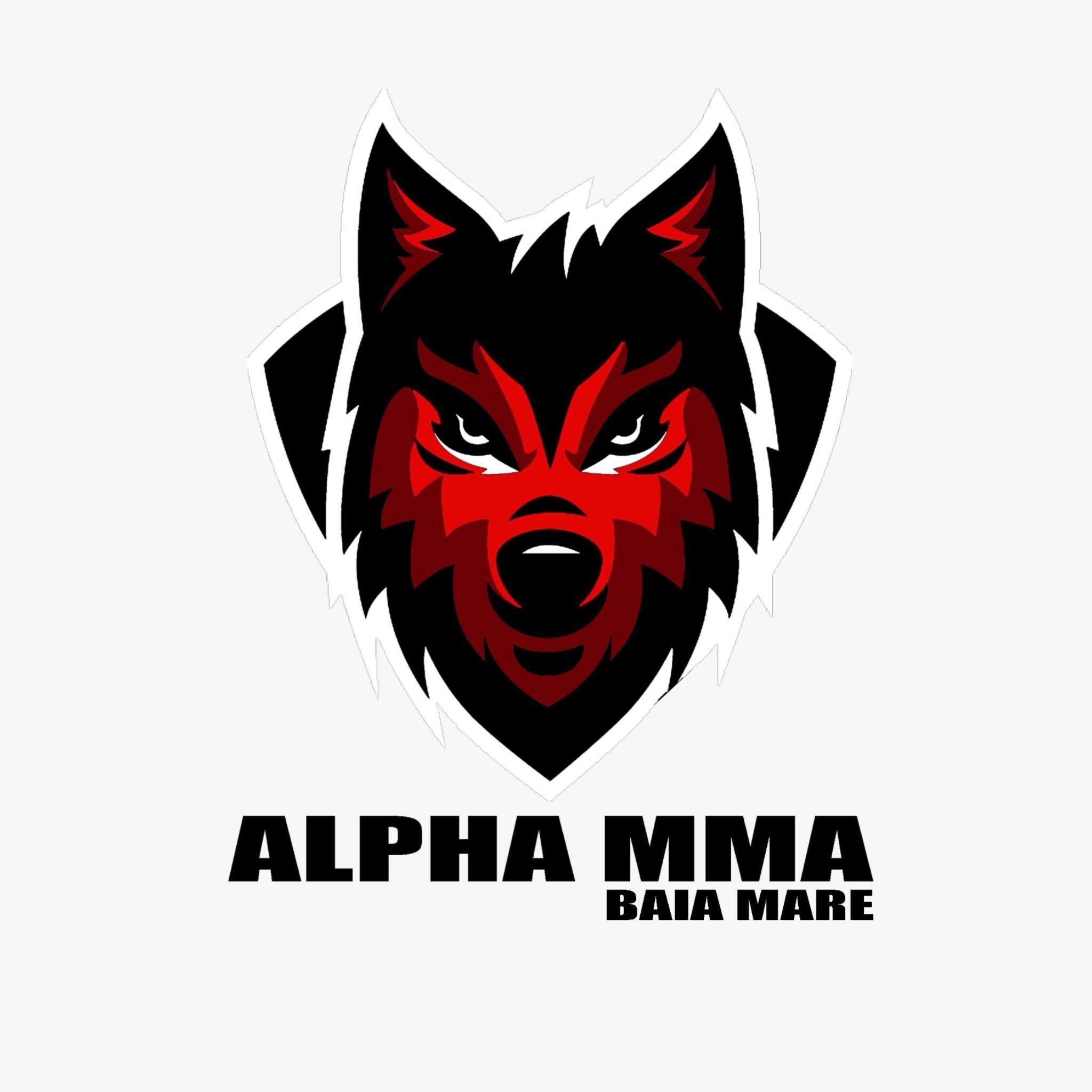 ALPHA MMA Academy Baia Mare